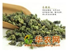 香香茶业生态茶清香型铁观音