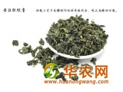 好茶推荐：新茶乌龙茶安溪铁观音茶叶