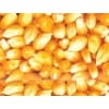 玉米收购价格 饲料厂常年现金求购玉米 高粱 菜饼 麸皮 淀粉