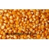 酿造企业求购高粱大米玉米小麦碎米大麦