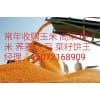 新玉米收购价 大量求购玉米 高粱 大豆 棉粕 荞麦碎米