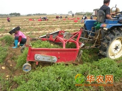 临夏：推广马铃薯生产全程机械化技术